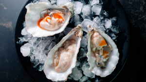 oester 3 16x9